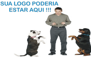 Ulisses Adestrador